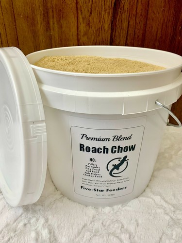Dubia roach food - roach,